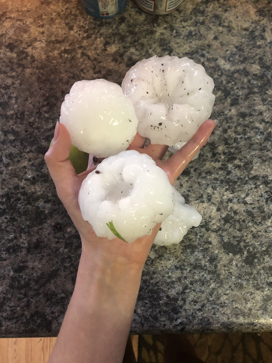 cevminneapolis's tweet image. Fruit of the casual hail storm in Clear Lake, Minnesota. Good to be home. @WCCO @WCCOShaffer