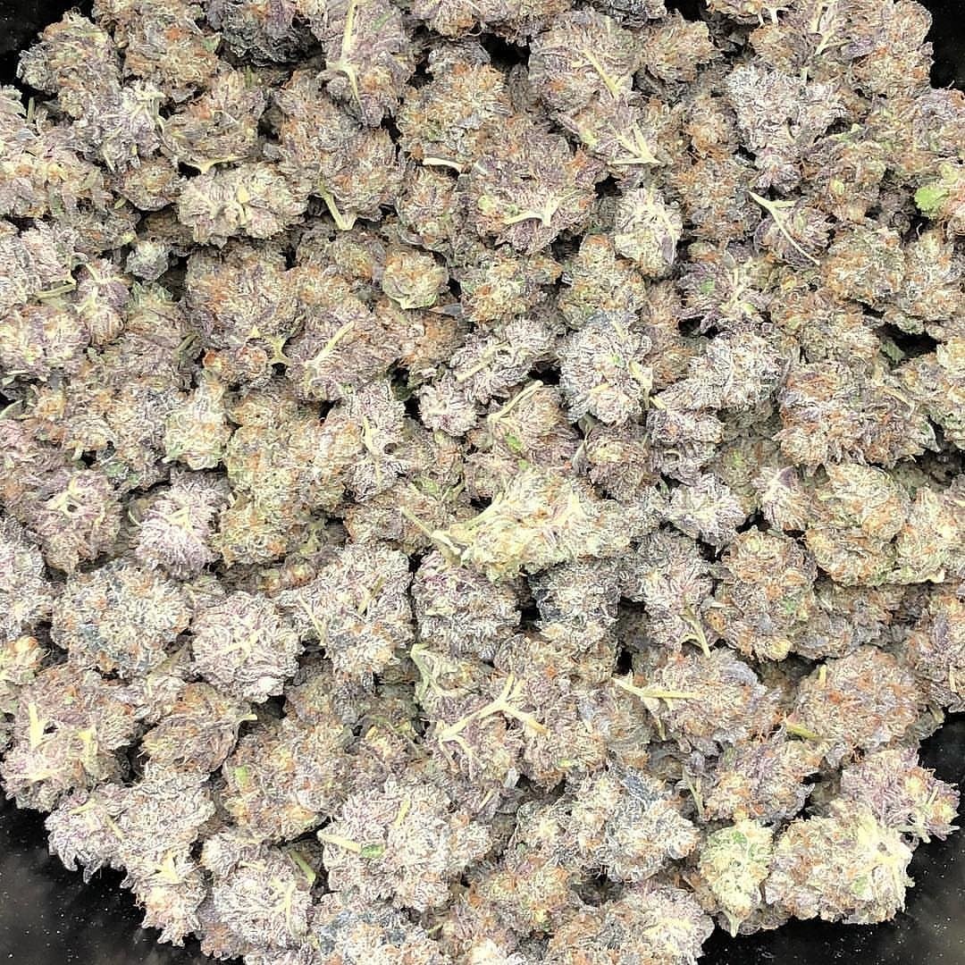 EuniceCheng12's tweet photo. Was a blossom harvest.🤫🤑#mmj #stoned #society #instaweed #joint #smokeweed #legalizeit #girls #cbdoil #bong #pothead #love #amour #vern #ation #brassement #ganjagirls #blunt #hash #terps #homegrown #edable #édiable #organique #édical #bhfyp #weedgirls #weedmemes #dab #wax https://t.co/0VxaHiTxye