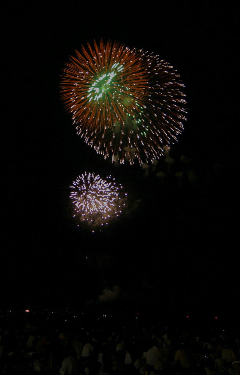 樹美 タヌキに ブルボンのプチクマに お魚芯花火に スマイル芯花火 まだまだあるよ 片貝煙火 さんの型物バリエーション ぎおん柏崎まつり海の大花火大会