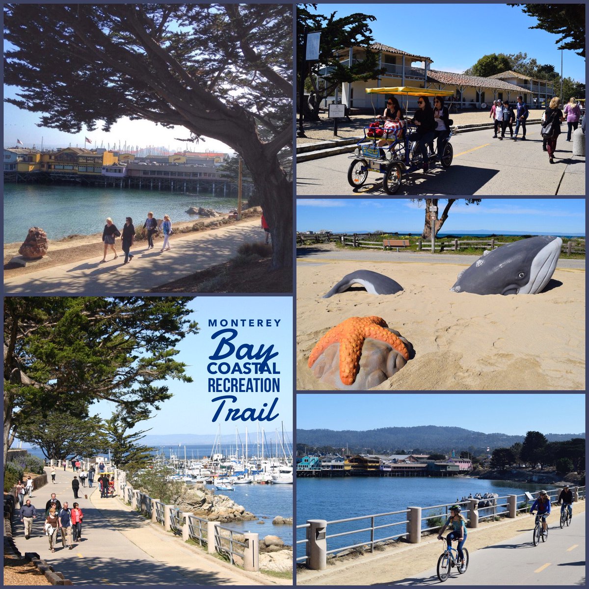 City of Monterey tweet media