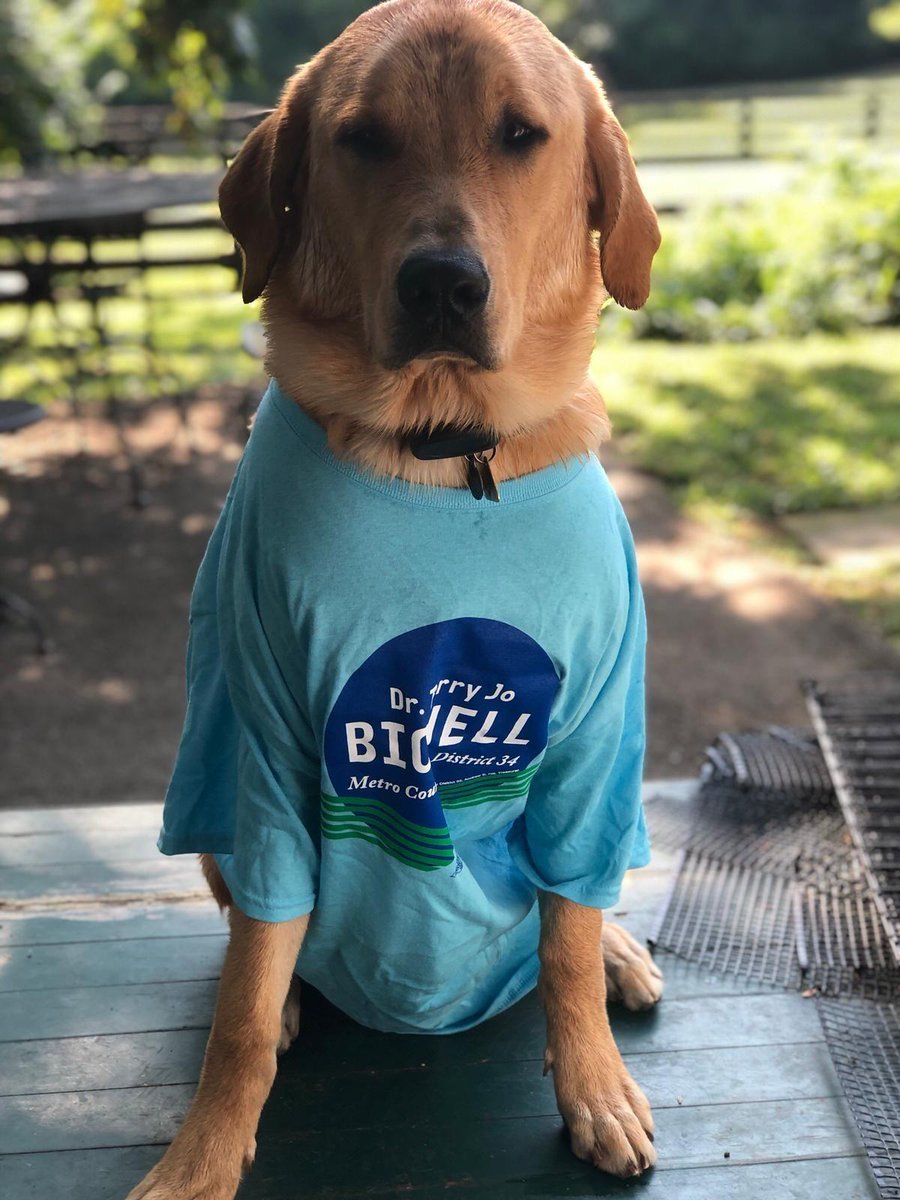 TJBichell's tweet image. 