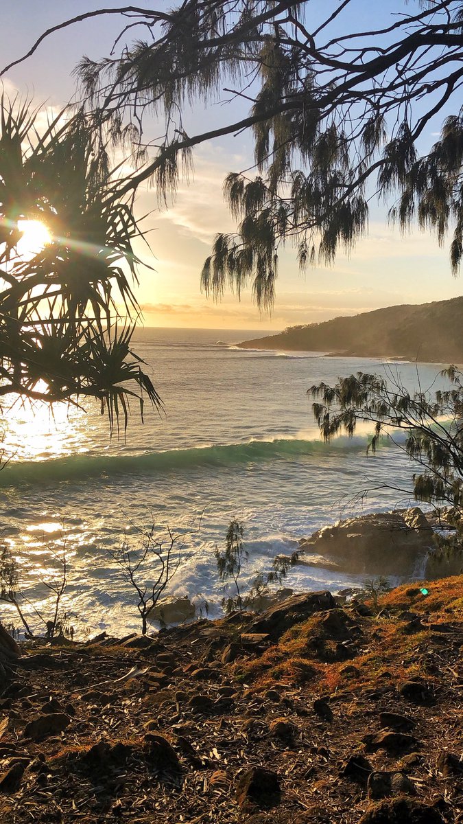 Saturday morning sparkles ✨ #ThisIsQueensland #VisitNoosa #seeaustralia