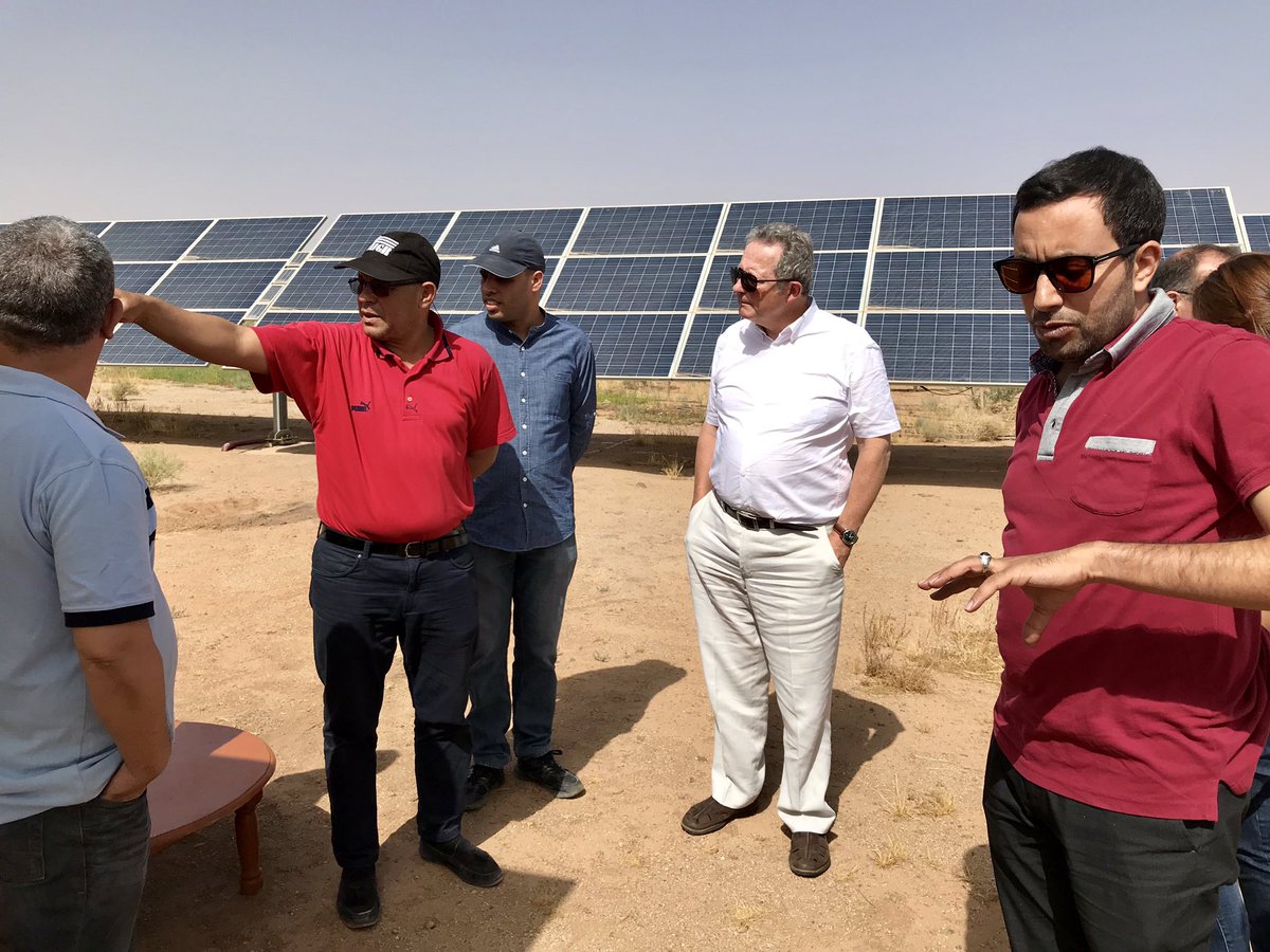 EnabelauMaroc's tweet photo. Retour en images sur les visites qui ont suivi l’atelier de clôture du projet de Développement des filières du #safran et du palmier #dattier #PDFSD en présence de SEM l’Ambassadeur du Royaume de Belgique au Maroc. Intervention mise en œuvre par @EnabelauMaroc #agriculture https://t.co/dqHnjNxfh9