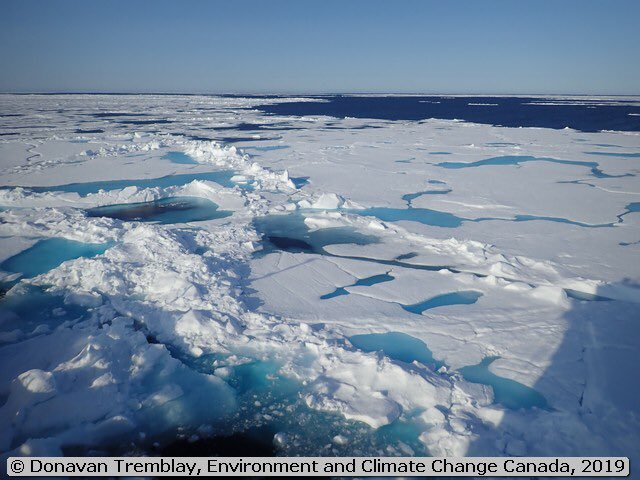 Photos from aboard the CCGS SIR WILFRID LAURIER in the Beaufort Sea. 
Photos credit : Environment and Climate change Canada
<a href="/CoastGuardCAN/">Canadian Coast Guard</a> #ccgssirwilfridlaurier