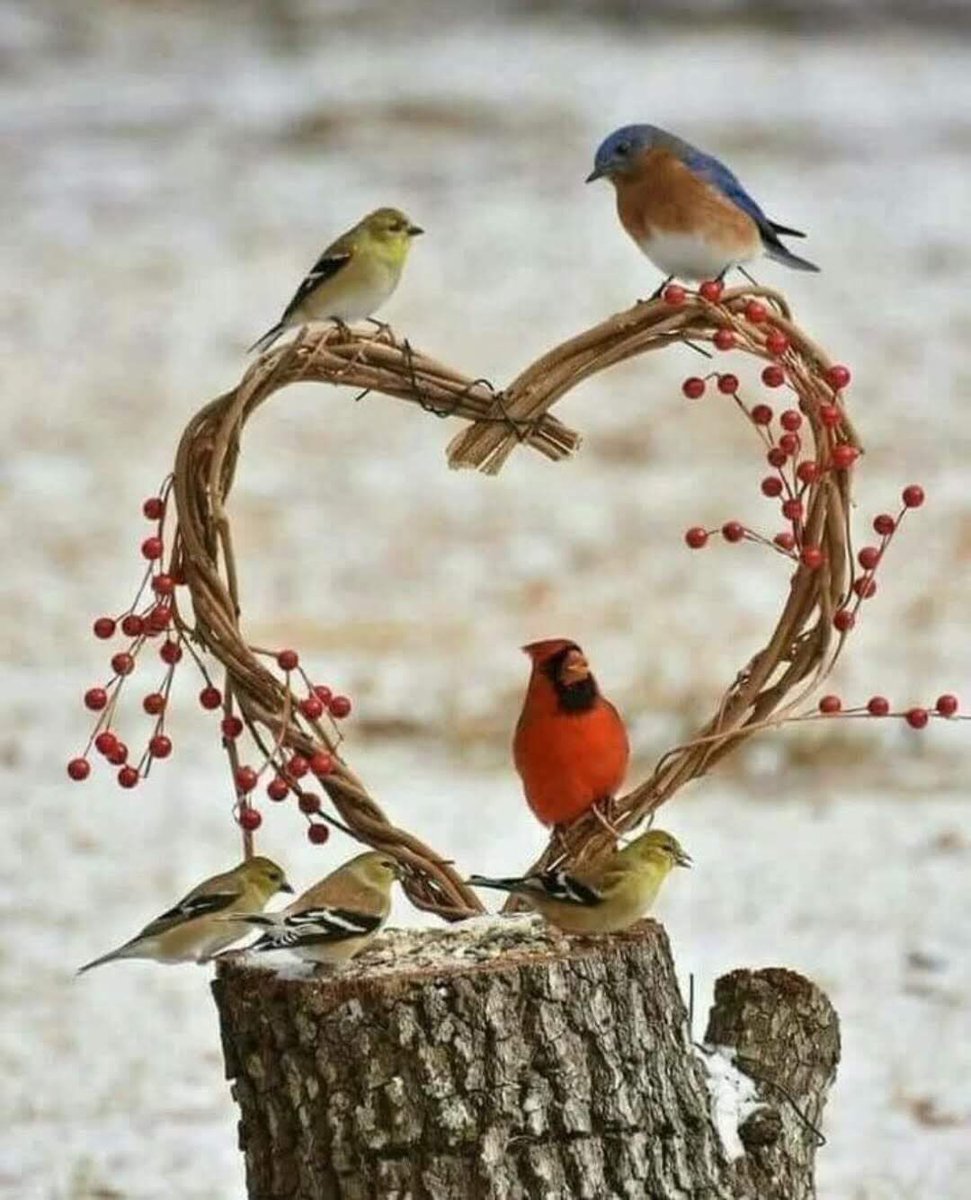 IsnYet's tweet photo. الوفاء ليس مجرد لقاء...لكن صدق وتواصل وصفاء......
فسلامي لكم بمقدار احترامي"ممزوجا بود لا يعرف الرياء.....
قد ننشغل ولا نسأل....قد نرحل ولا نعود...
لكن تبقى الأرواح بالمحبة متصلة♥️

روح❤️ https://t.co/3qgla7ZQaO