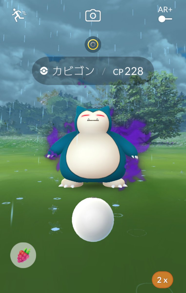 Go シャドウ カビゴン ポケモン