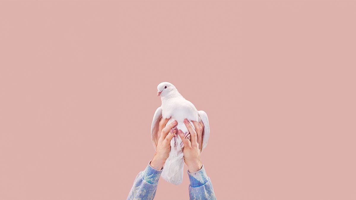 TamaraMcCleary's tweet photo. For Leaders, Decency Is Just as Important as Intelligence https://t.co/hjmNtmH2oE via @HarvardBiz #leadership #ethics https://t.co/D1ezQCItrr