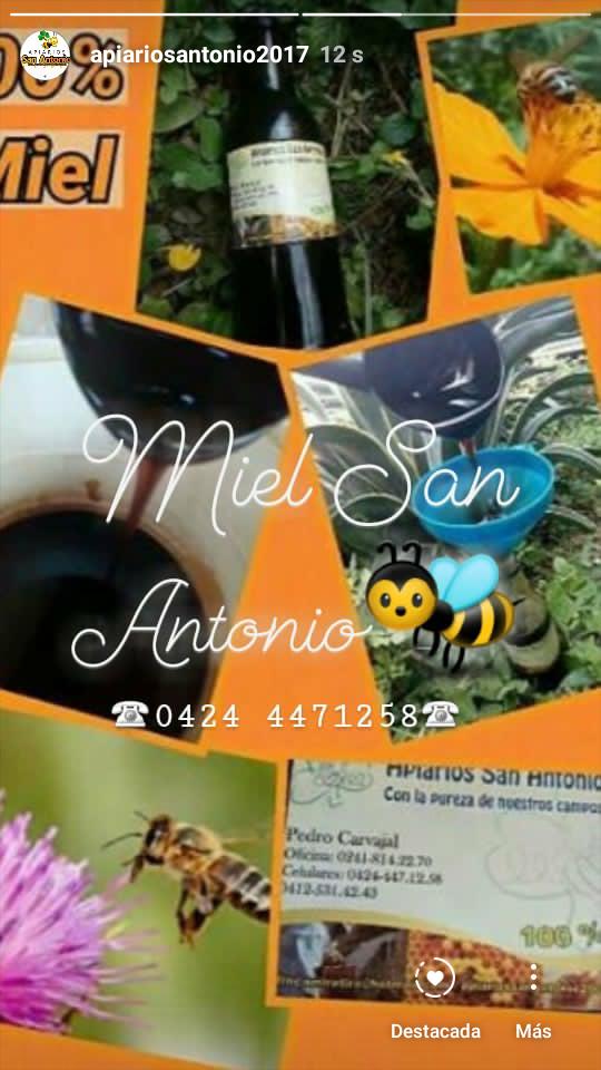 PedroACarvajal's tweet photo. 💯% Miel San Anronio
Para sus Pedidos 
☎0424 4471258☏
De la pureza de nuestros campos a su mesa🐝🌻 https://t.co/0bPL8W7Zm9