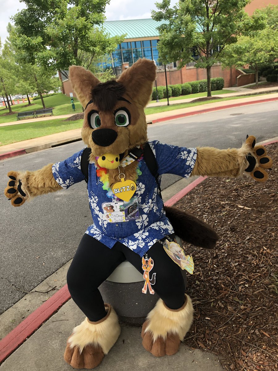 blitz_wolfie's tweet photo. pineapples make the best snacks, do you agree? also happy #FursuitFriday!!! #hamacon10 #hamacon2019 #hamacon
βοΈ: @elk_craft
πΊ: @hamatweets https://t.co/8VmbUCX70N
