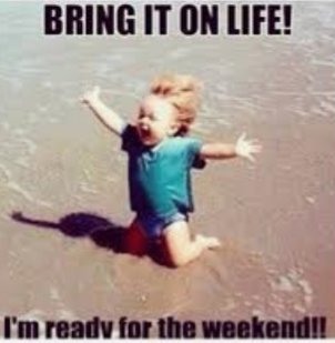 LizSkiler's tweet photo. Finally... it's heeerrre!
#weekend #weekendreads #WeekendReading #weekendvibes https://t.co/cY6APgUo8S