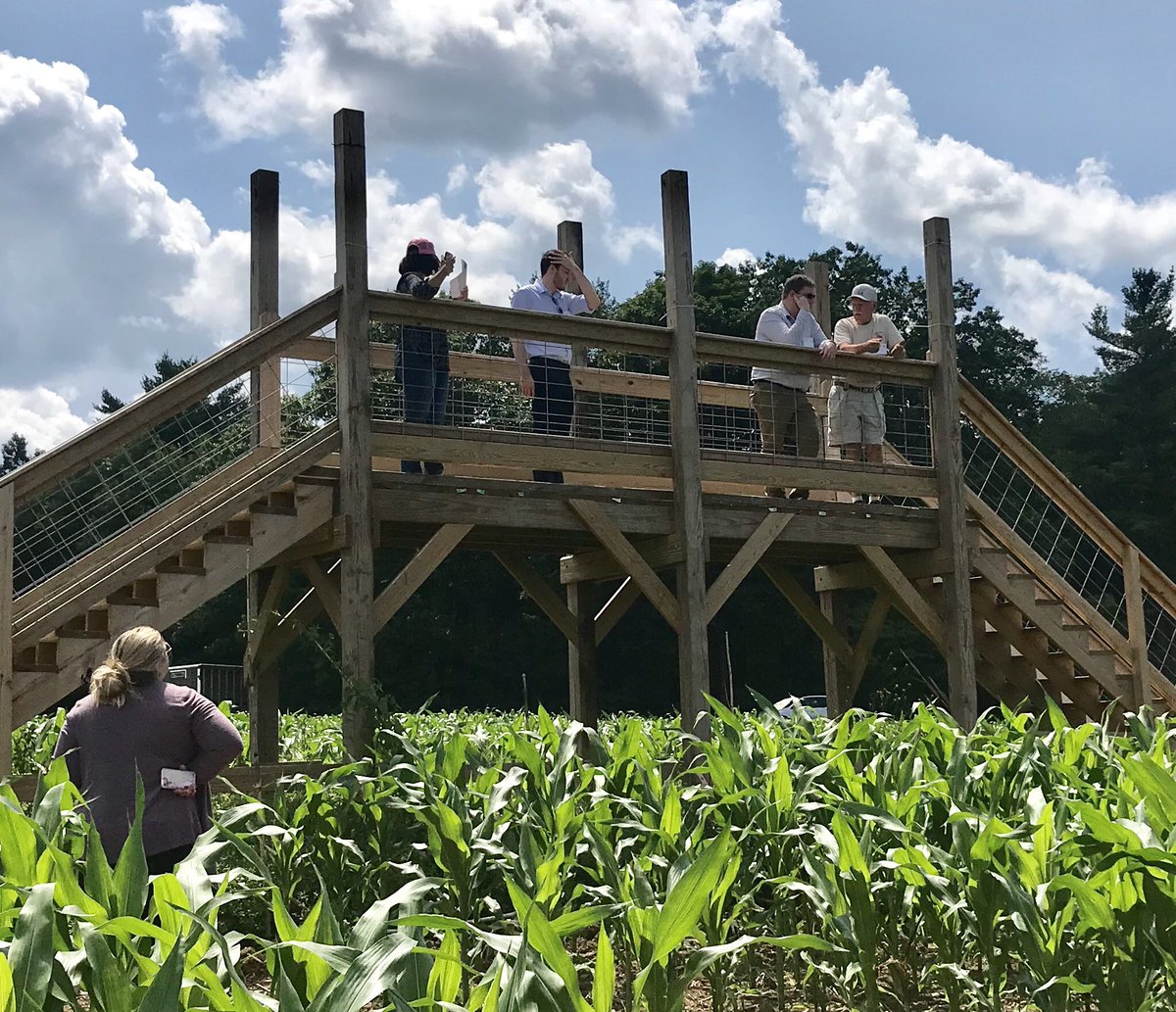 DonnaLupardo's tweet photo. Saw the start of the 9 acre fall corn maze at Peila View Farms in Oxford. There’s a nice vantage point in the middle. Wizard of Oz theme this year. #ChenangoCo https://t.co/cki00HjrMu