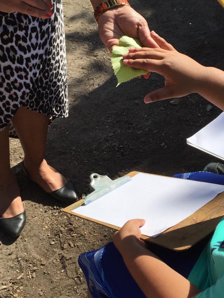 Leaf rubbing🍃 art done by Mrs. Mehangrey’s kindergarten class at summer school. Explored texture and pattern.