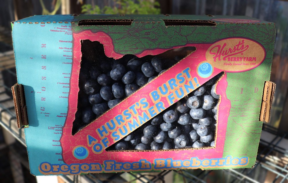 Oregon Fresh Blueberries in sustainable packaging – Because Mama Earth Rocks! Four pounds of fresh, sweet, juicy blueberries! bit.ly/oregonblueberr…