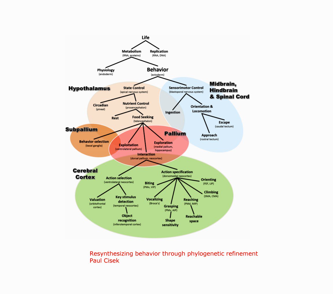 paths to wealth through