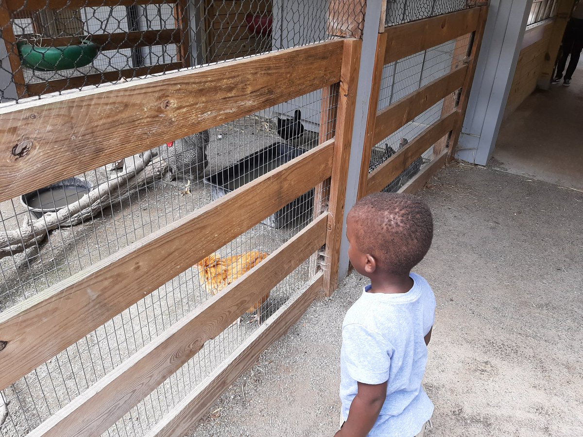 mrwalshwmms's tweet photo. Adventures of Noah and i continued todsy with a trip to @Maymont. Such a fun week we have had #walshsummer2019 #noahsdad https://t.co/3QOUcP8o28