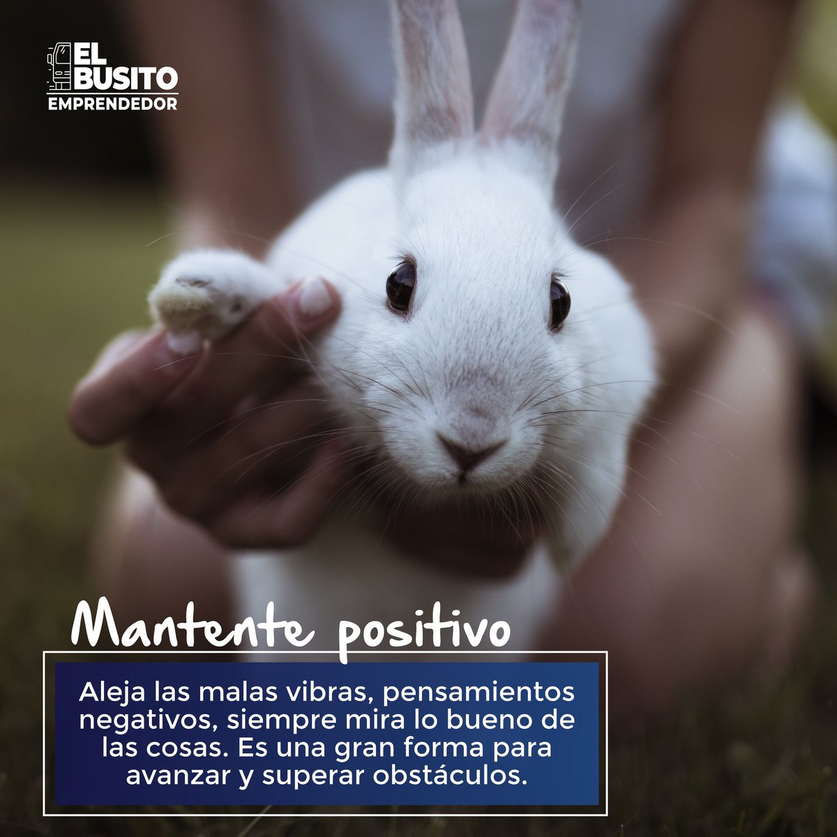 BusitoEmprende1's tweet photo. #BusitoTips para desarrollar tu mentalidad de emprendedor... | Siempre mente positiva 🚌🚀😎 https://t.co/OTw5tBstZx