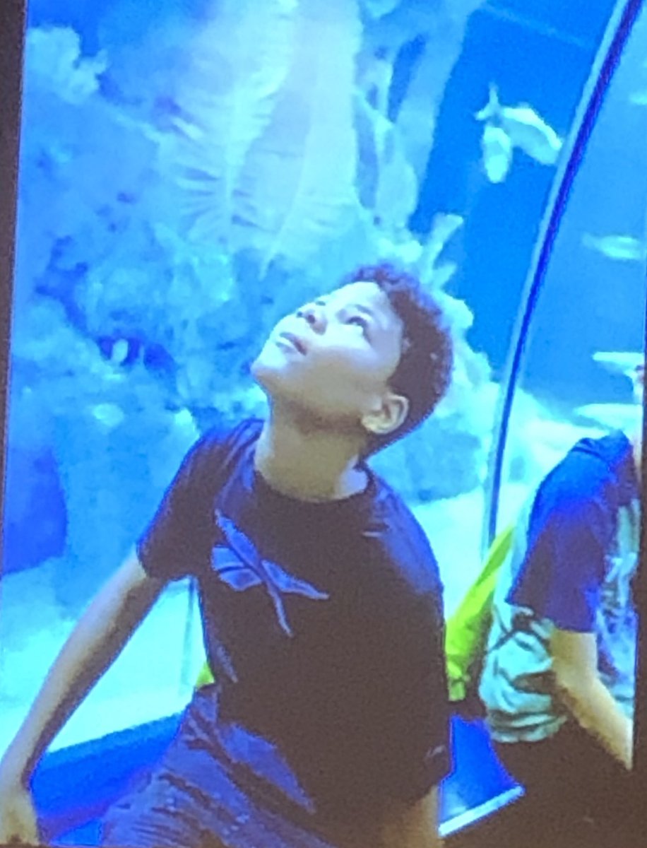 VickieMurillo's tweet image. 2019 CB Summer Camp Explore @henrydoorlyzoo for our students in grades 6-8. The students had an amazing experience learning on the Zoo Campus this summer. #CBProud #nosummerslide #achievemore Big thank you to @CarlyEG for your leadership.