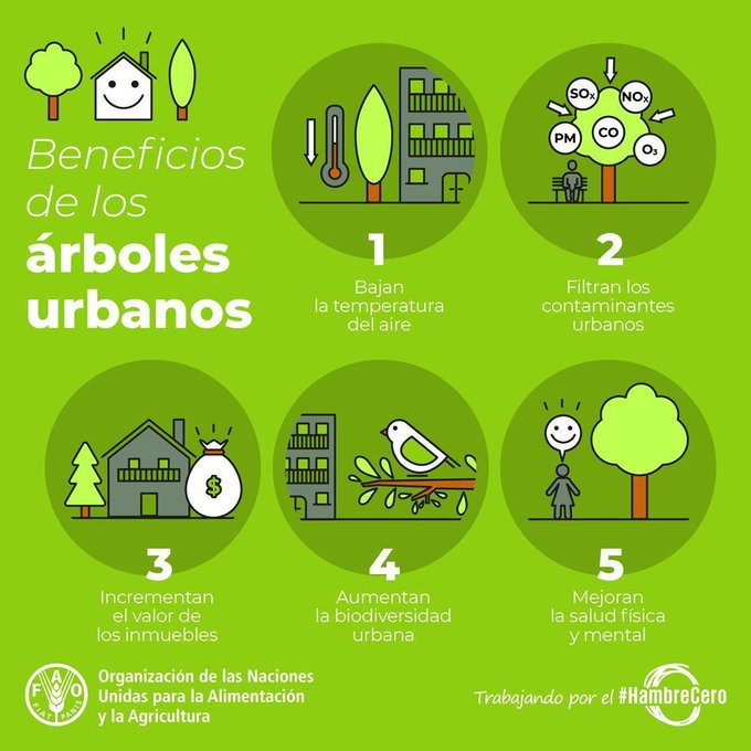 Los #árboles y las #áreasverdes en ciudades generan innumerables  servicios 🌳🌳🌳. Además de consumir gas carbónico y abatir contaminantes atmosféricos, mejoran la salud humana, conservan la biodiversidad y hace ciudades más amigables 💚