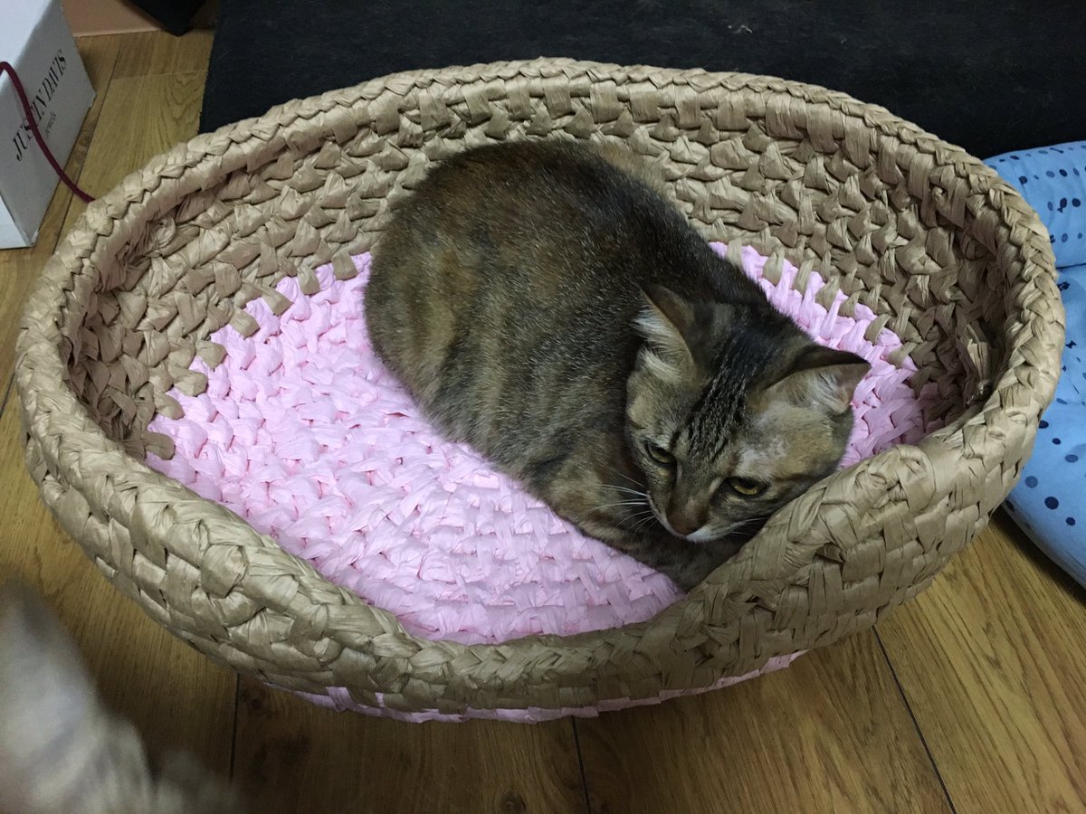 手作り猫ベッド