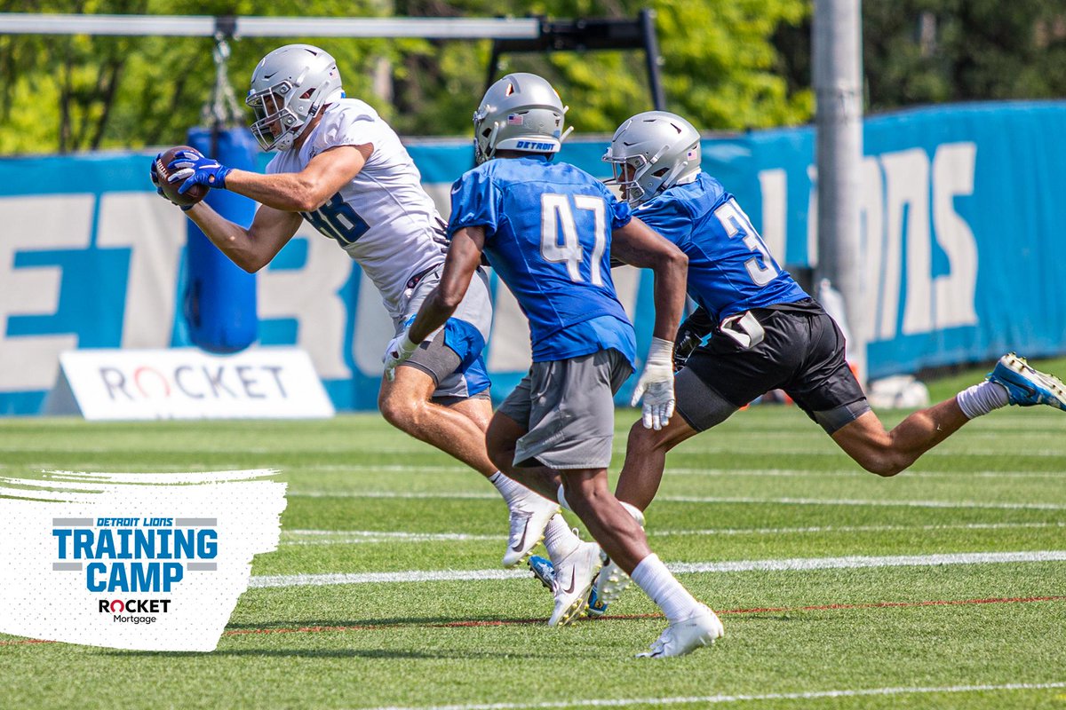 Lions's tweet photo. We see you, @TheeHOCK8 https://t.co/YDuQj2c8QZ