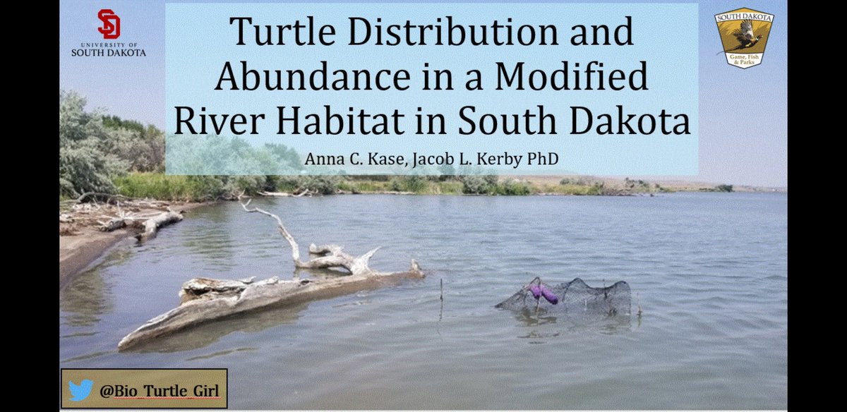 Hey there! If anyone is at #JMIH19 and awake tomorrow morning, come to my talk at 8:45 in Primrose A+B! It will be a turtle-y good time! 🐢