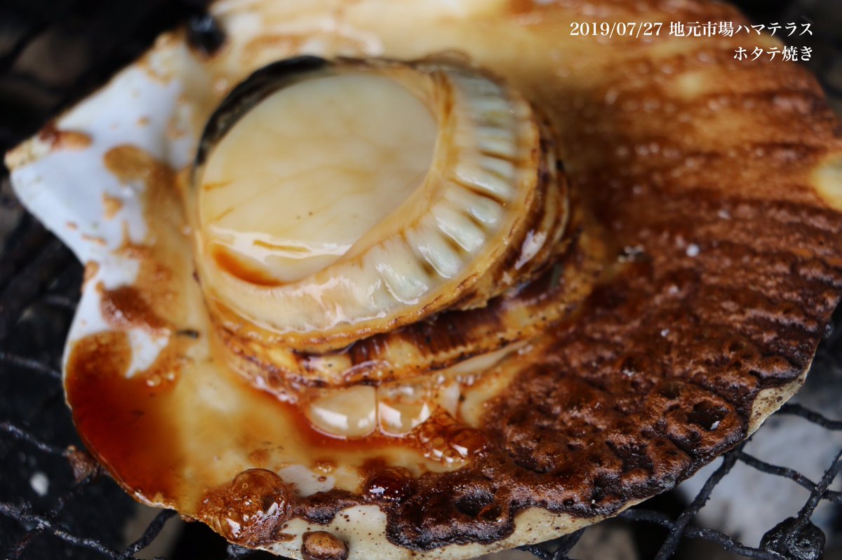 シーパルピア女川 على تويتر さらにさらに イカ焼き ホタテ貝 ホッキ貝も 貝 絶対美味しい 先ほど動画をアップしましたが 美味しいに決まってる 貝はまだ食べていない 食べた方 感想お待ちしております 女川 地元市場ハマテラス おいでよ女川 シーパルピア女川 على تويتر さらにさらに イカ焼き ホタテ貝 ホッキ貝も 貝 絶対美味しい 先ほど動画をアップしましたが 美味しいに決まってる 貝はまだ食べていない 食べた方 感想お待ちしております 女川 地元市場ハマテラス おいでよ女川