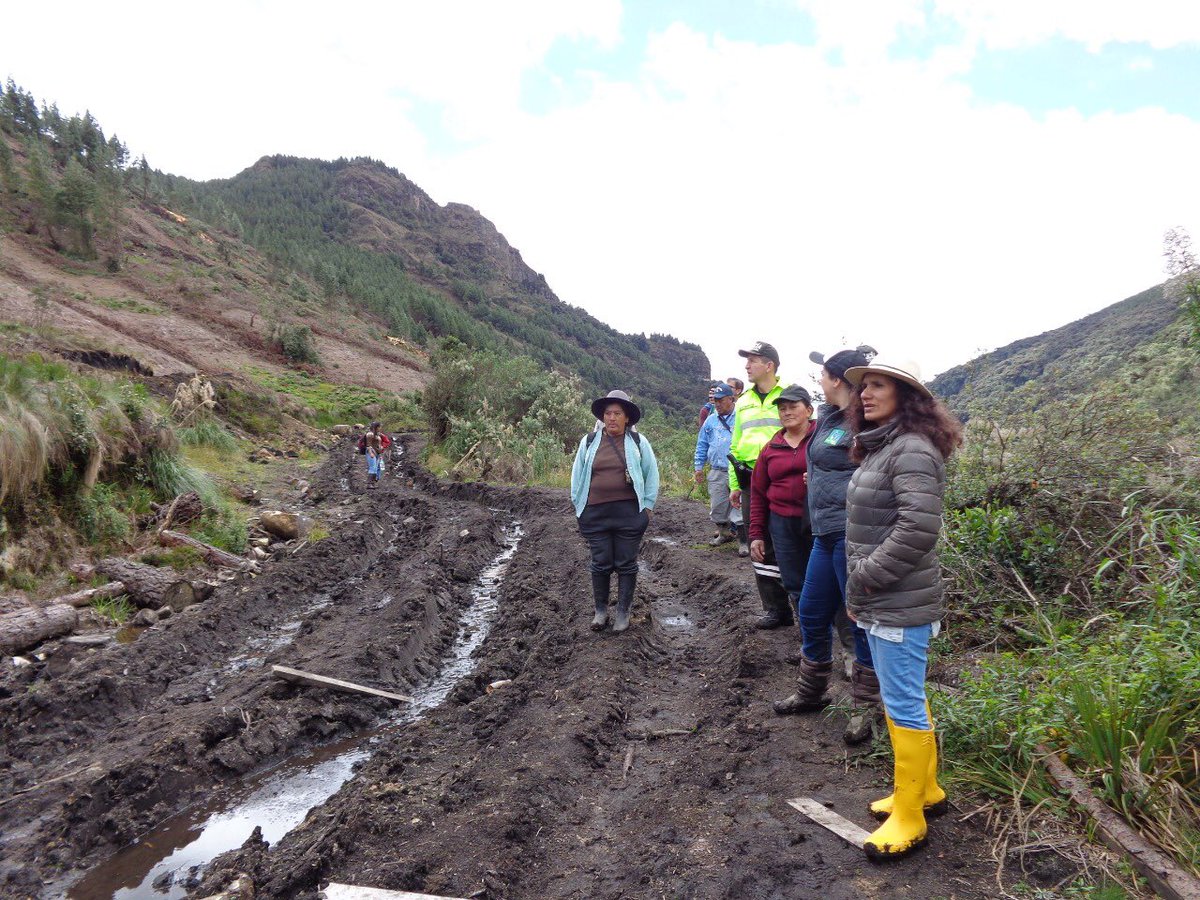 jotalloretv's tweet image. Recorrimos las fuentes de agua del #ProyectoNero, donde se está talando un bosque sin ningún respeto del plan de manejo ambiental. Informaremos esto al @Ambiente_Azuay.
Son 3.800 hectáreas declaradas como bosque protector en el año 1983, de aquí sale el agua para 30.000 persona.