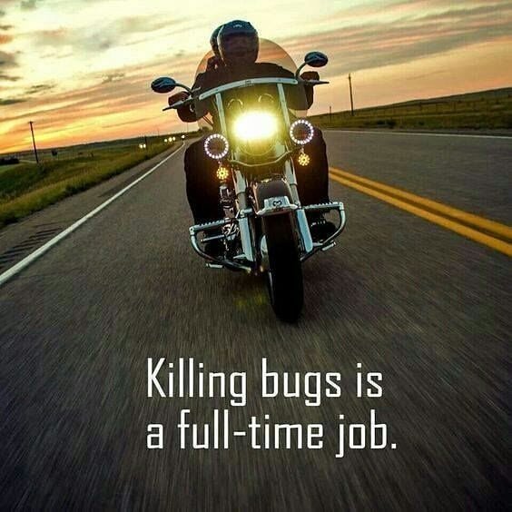 DKCustom1's tweet photo. Goodnight Bikers!
#goodnight #bikers #killingbugs #fulltimejob #justride #harleydavidson #motorcycles #harley #moto #hd #bikerlife #harleylife #motorcycle #riding #time #lifebehindbars #ftw #rideordie #idratherberiding https://t.co/nSjBqbvWmB