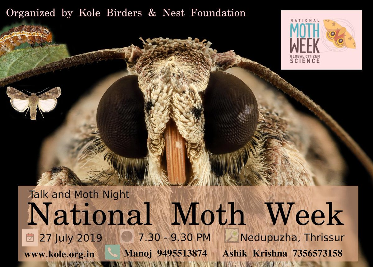 Talk & Moth Night #NMW2019 at NEST, Nedupuzha, Kerala🇮🇳 @Moth_Week 

27 July 2019 on 7.30 – 9.30 PM IST at Nest Campus Nedupuzha, Thrissur

Welcome to all. Happy Mothing.
#CitizenScience #KoleBirders #KoleWetlands