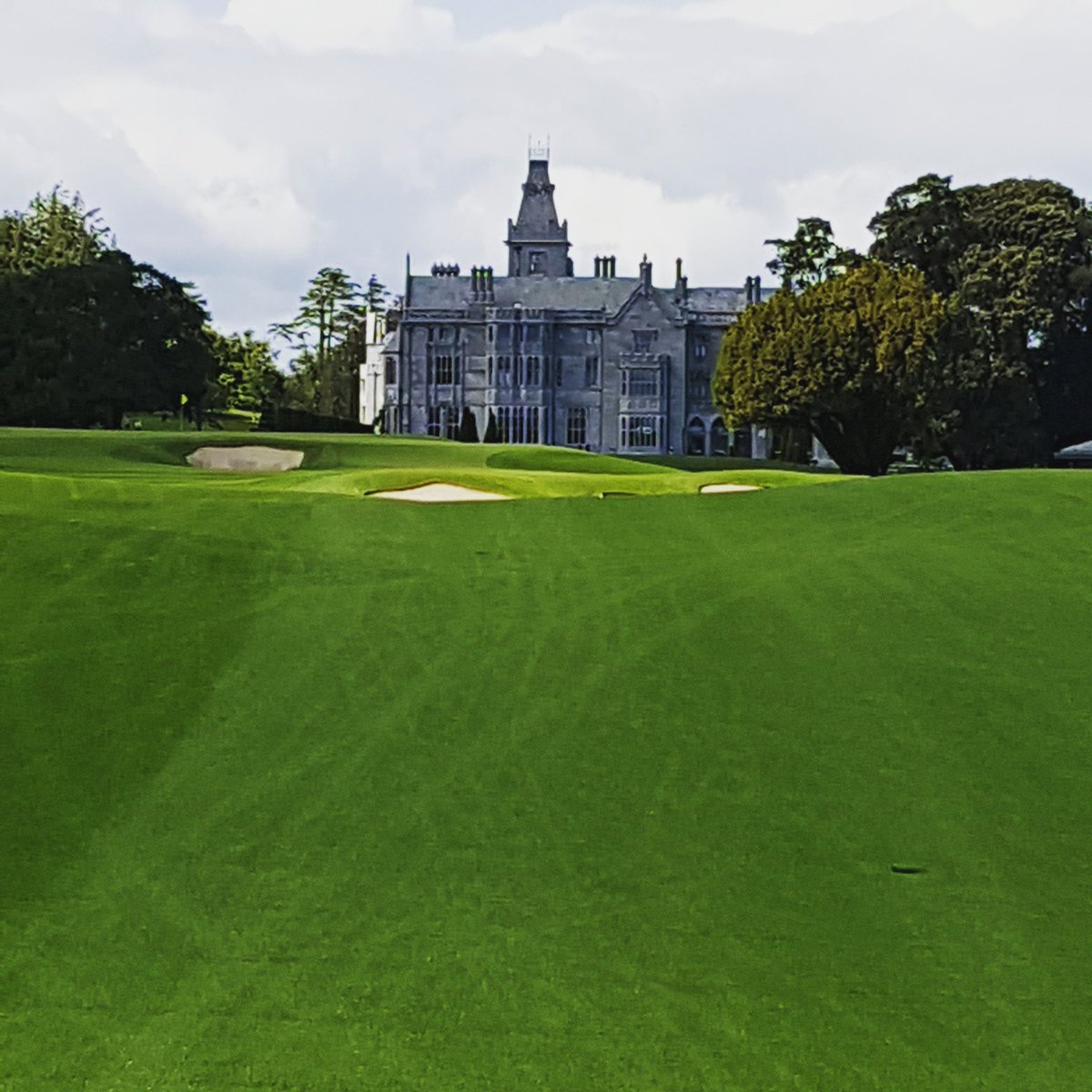 @GolfIreland tweet media