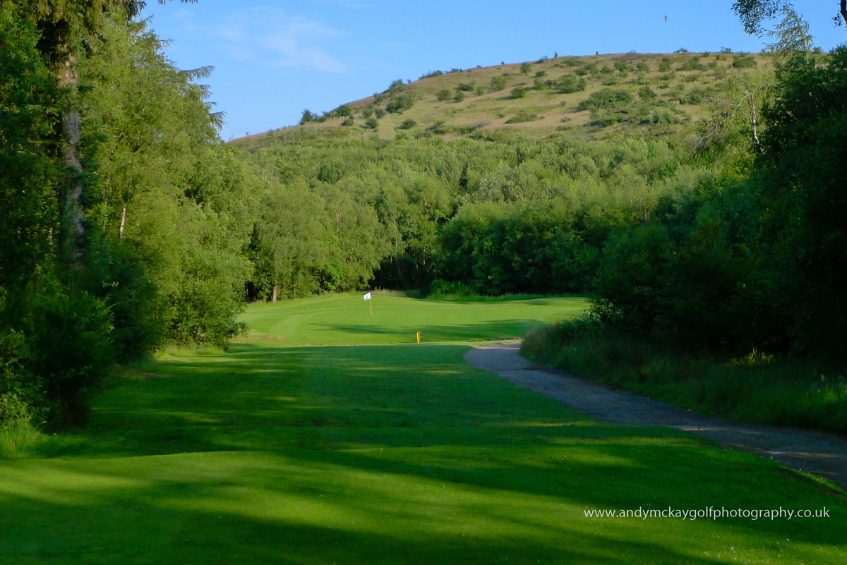 Andy McKay Golf Photography tweet media