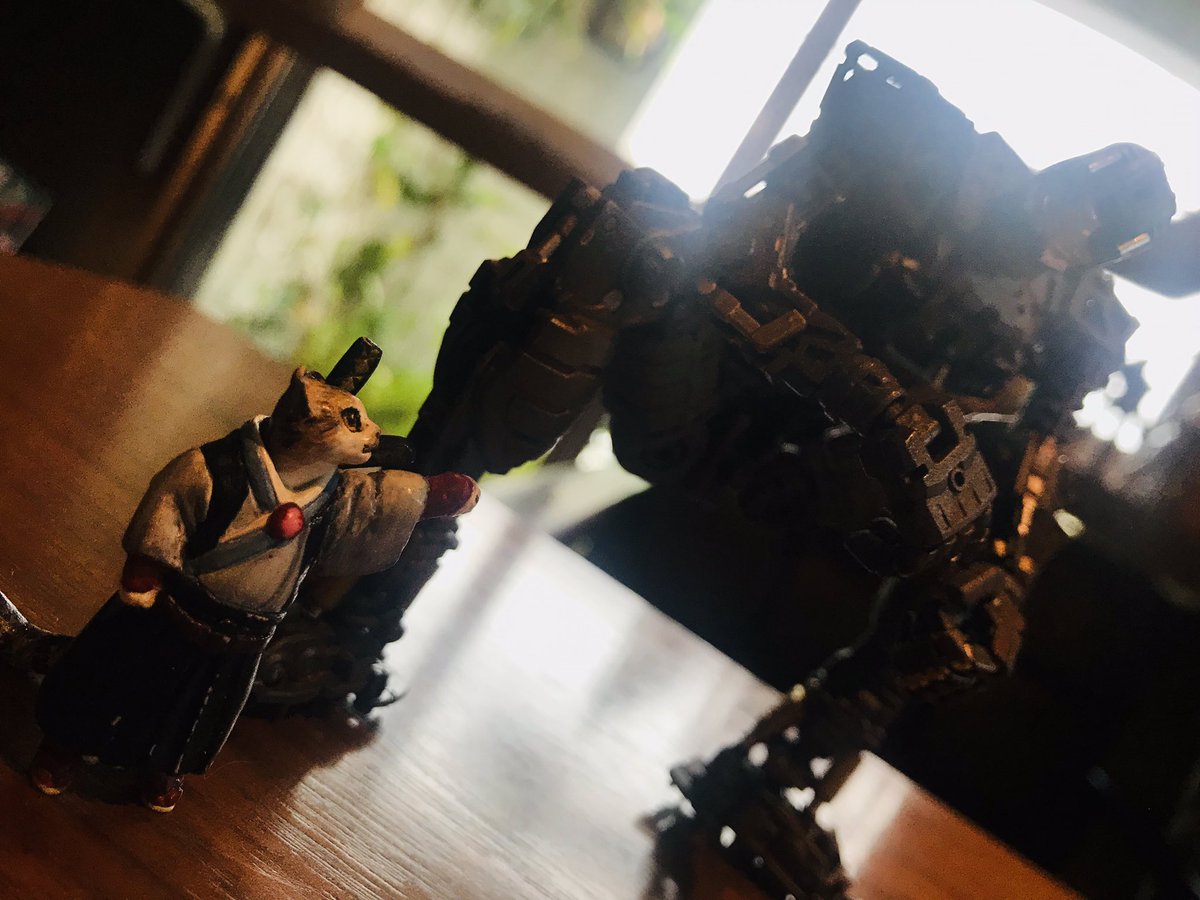 shieranran's tweet image. 中の人と(´∀｀*)

#cafeunlockfunction #アンロックファンクション #LiveModeling #UFLM #MoFuRock #モフロック #みんなのたんぽぽ
