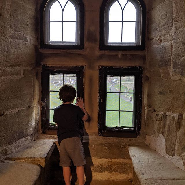 Not every room has a Dragon. We checked everywhere. Thanks @alnwickcastleofficial Great day

#alnwickcastle #northumberland #visitalnwick #visitengland #WoodyWatch ift.tt/2GA5HB0