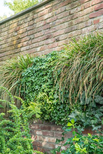 Ben je al bekend met het systeem voor verticaal tuinieren? Een hele wand versieren met vaste planten, gaaf toch?