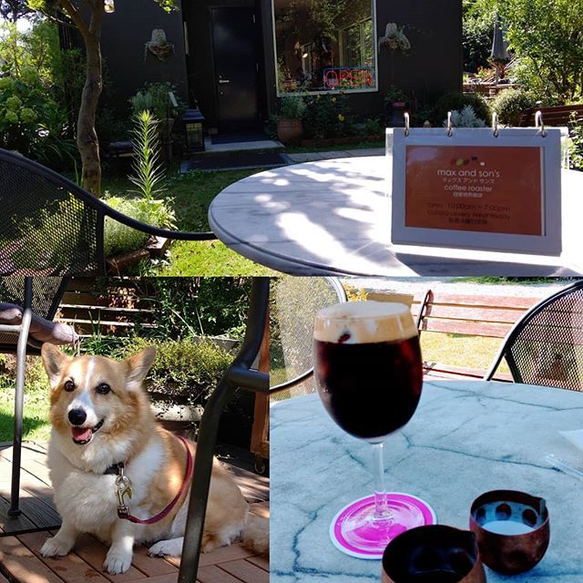kemurumute's tweet photo. こういう日は山間のカフェが心地よい😎 #コーギー #ドッグカフェ #マックスアンドサンズ #わんすたぐらむ #corgi #dogcafe #maxandsonds #dogstagram https://t.co/VU9mYzQSnP https://t.co/WlLAGZTkoS