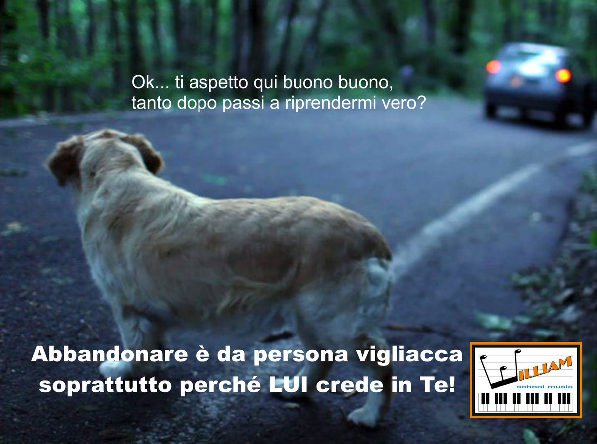 WilliamSchoolMu's tweet photo. #INVACANZACONOI !😍
La William School Music vuole essere partecipe della campagna di sensibilizzazione di #ionontiabbandono, perché oltre ad essere un reato penale, abbandonare il nostro Amico più sincero, è una vigliaccheria! https://t.co/4hjeaBGnHv