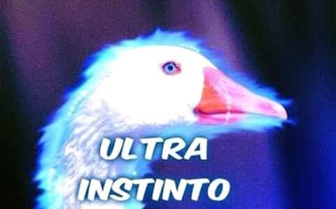 nationteve's tweet photo. Don't mess with the DUCK #UltraInstinto https://t.co/2No4emYwd1