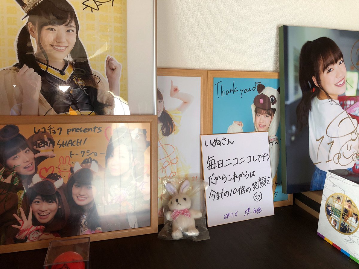 いぬ 僕は生写真はスリーブに入れてアルバムに収納してますが スリーブ入れて収まる生写真サイズのアルバム なかなか見つからないので ダイソーのハガキが入るアルバムに収納してます 生写真飾るならフォトフレームオススメです