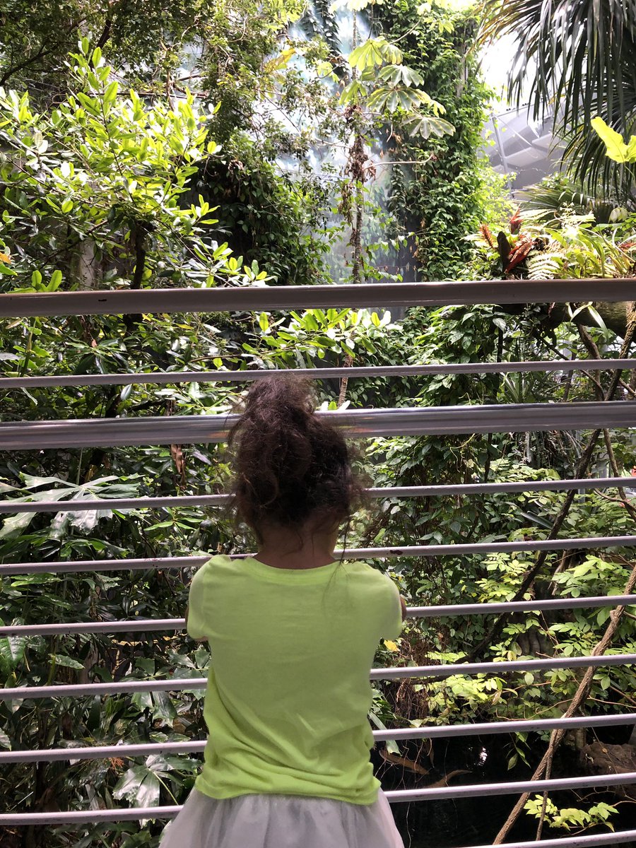 tiffariel's tweet photo. Shoutout to the #Rangeapp for finding my local @SMCLibraries so that I can print my free discovery and go tickets to @calacademy. https://t.co/79QYHhcqy3