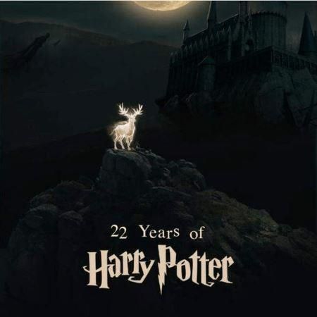 Bigsmallstore's tweet photo. A tribute to 22 years of Pottermania https://t.co/0zp8ms0NZ1 https://t.co/lcRCsLTHND