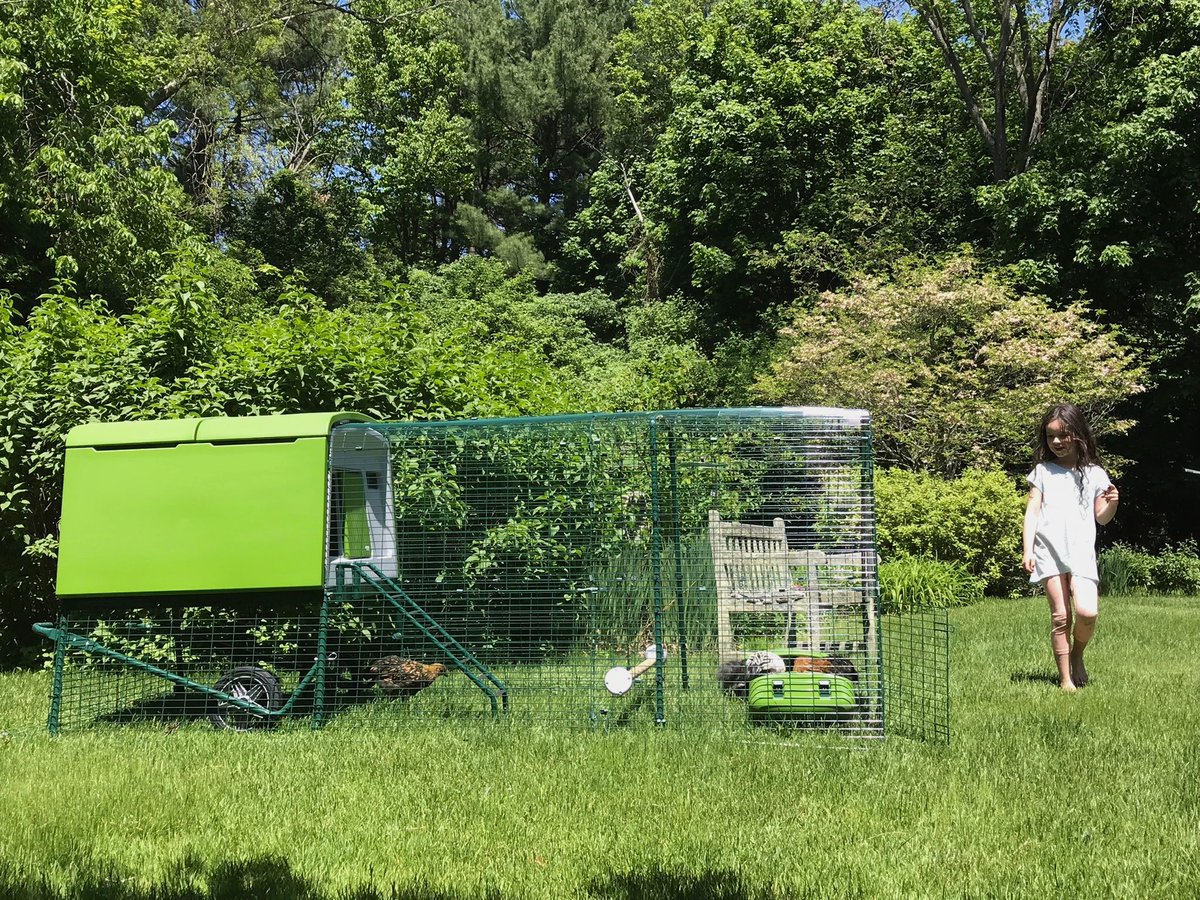 Omlet Australia At Omletaus Twitter