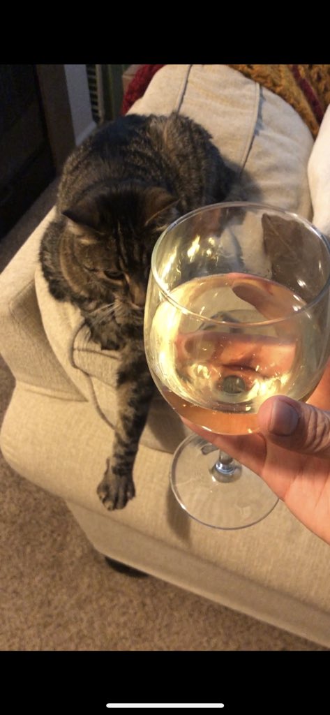 sleepiewolf's tweet photo. @xtineschiefer Time for wine! #teamwine https://t.co/g5yI0yG53D