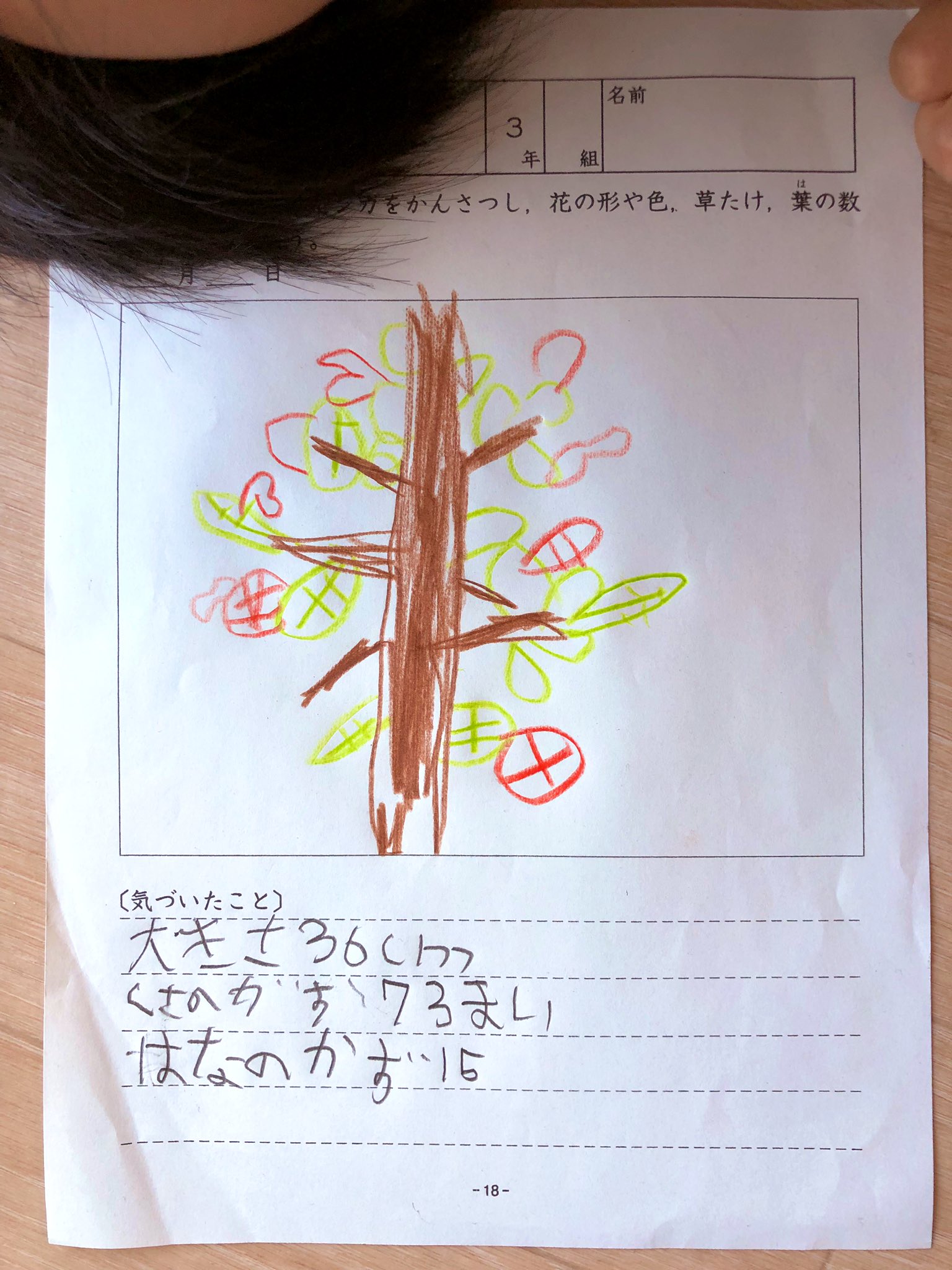 観察絵日記 Twitter Search Twitter
