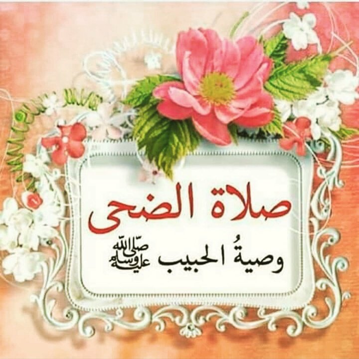 #الضحى
وصية الحبيب 
صل الله عليه وسلم
صلاة الآوابين