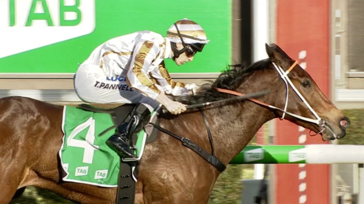 SwettenhamStud's tweet photo. #ASSERTIVEAPPROACH 3G Akeed Mofeed x Arrival( Choisir )dominates from the front to win Listed LR Lightning Stks 1050m  at Morphetville Sth Aus   @SAJockeyClub for Tr @HawkesRacing  &amp; @goldinfarms  Akeed Mofeed stands at @SwettenhamStud  in 2019 https://t.co/rpkyMkjCdx