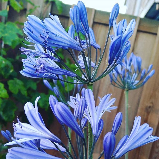 drjackdr's tweet image. Fond #memories of #NZ #new Zealand ift.tt/2ZfzA0G