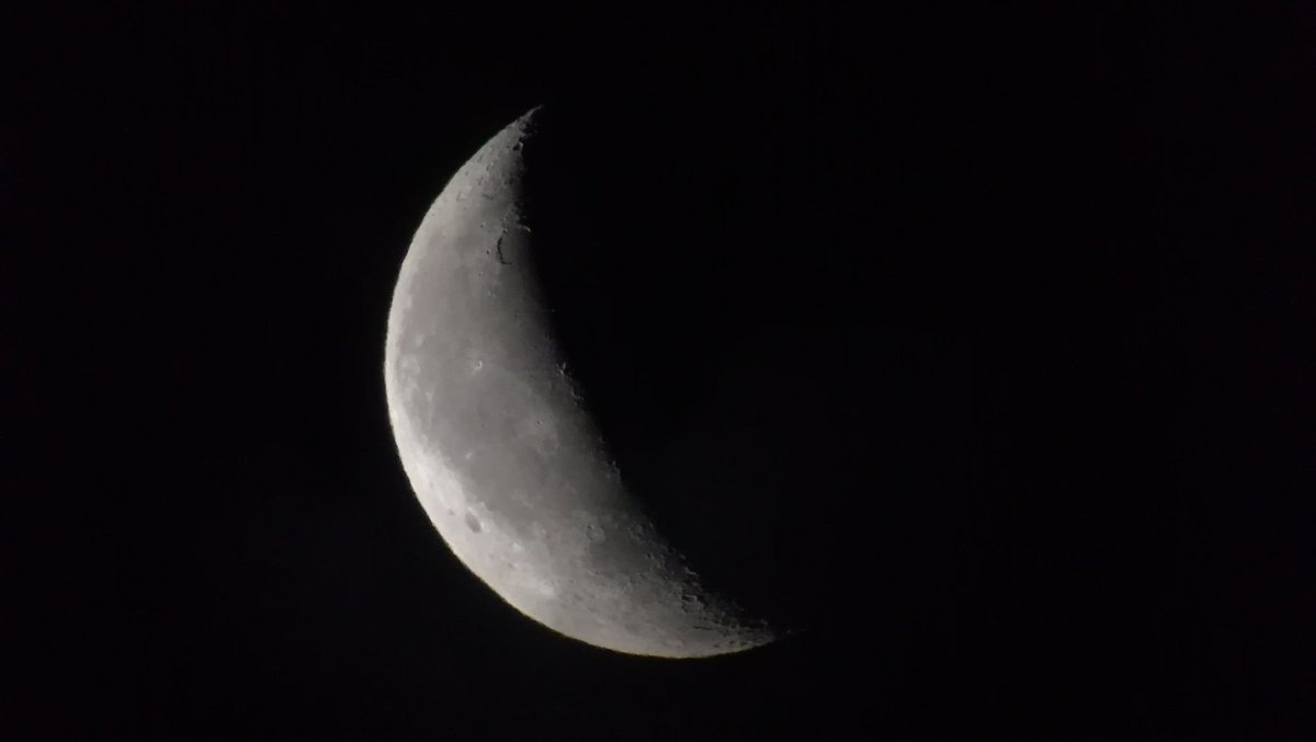 الناصر علاءالدين tweet media