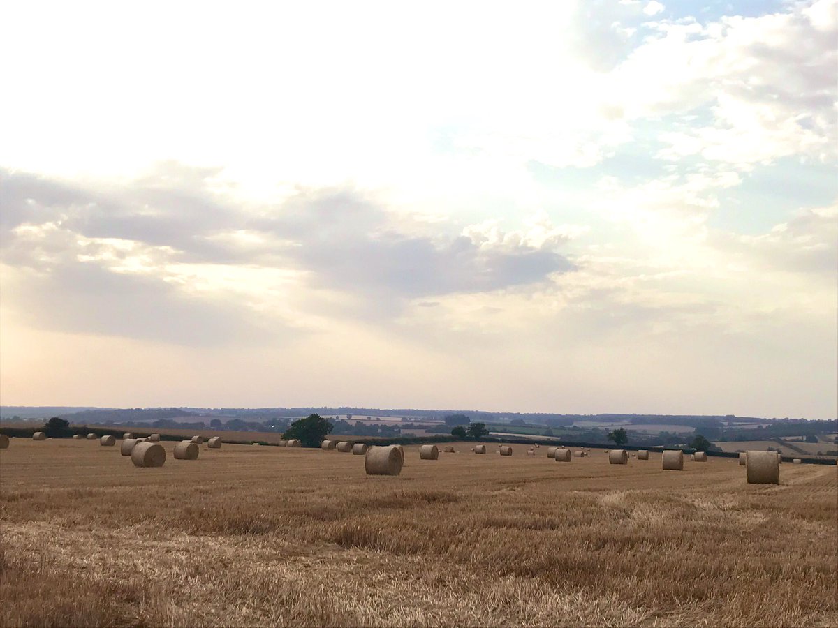 For scenes such as this.... (taken on 25/7 on the way home from work) #lovenorfolk #lovewestnorfolk <a href="/LoveWestNorfolk/">Love West Norfolk</a> <a href="/WorkWestNorfolk/">Work West Norfolk</a>