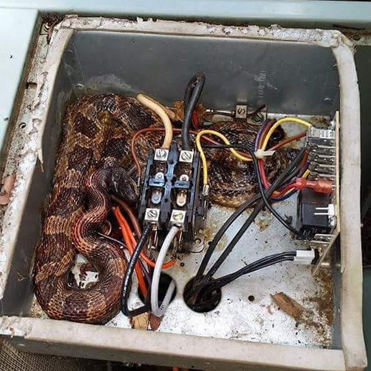 HVACbabes's tweet photo. OH HELL NO! https://t.co/zYpk4wKBLf
