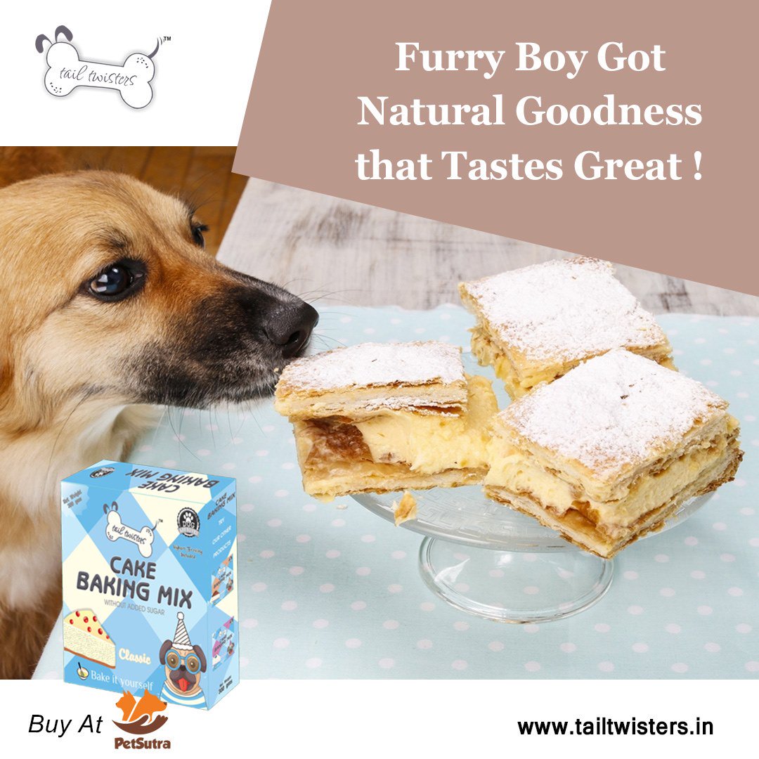 tail_twisters's tweet photo. Tail Twister's Cake &amp; Cookies mix is 100% veg &amp; is surely a delicious treat for your baby. Don't miss it 

Link: https://t.co/mMXboZ4B3i

#puppies #dogfoodrecipe #dogloversclub #cutedog #dogfood #dogloversfeed #tastydogfood #lovefordogs #tailtwisters #redvelvet #cake #cookies https://t.co/ewd7vxMVGX
